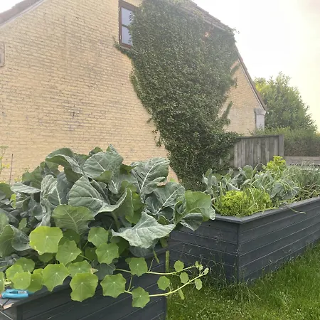 Jygge- Hyggelige Appartement *